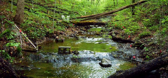 Oak Ridge West Fork